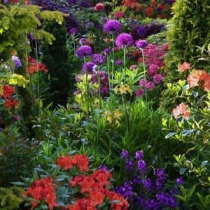 Meet your Posher, Darlene